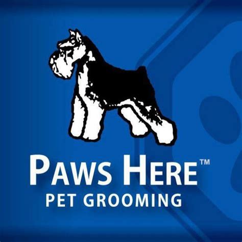 dog grooming nacogdoches|paws here nacogdoches.